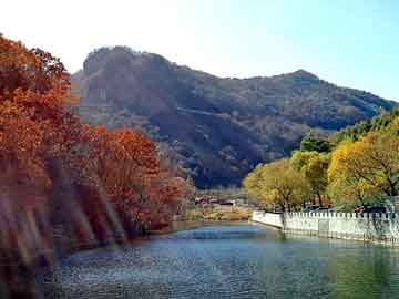 澳门二四六天天彩图库，花木兰小说